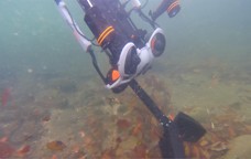 水中ドローンソリューション